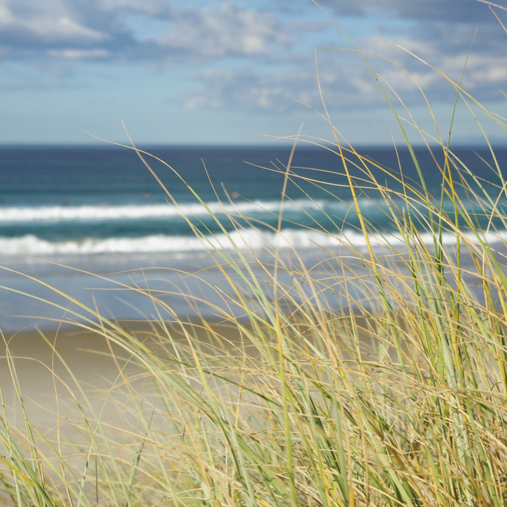Kołobrzeg, Park Zdrojowy, solanki